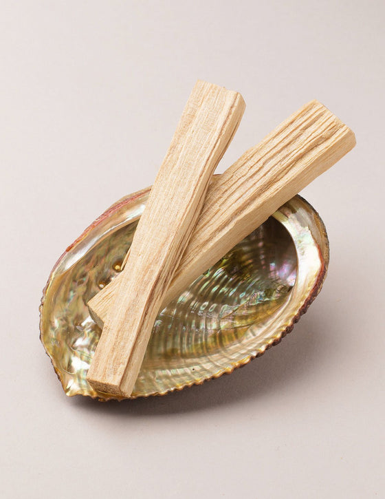 Abalone Shell and Palo Santo Set — Sivana